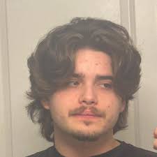 First time rotary owner seeking Houston recommendations