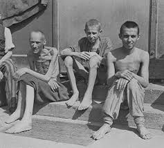 Image result for holocaust photos