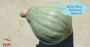 Popular winter squashes include hubbard, butternut, acorn, delicious, banana, turk's turban (photo above), cushaw, and spaghetti squash. Baby Blue Hubbard Squash Cooksinfo