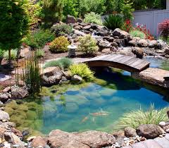 20 Amazing Garden Design Ideas Brisk Post Beautiful Home Gardens Fish Pond Gardens Ponds Backyard