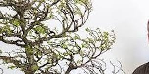 David DeGroot Bonsai Analysis - Design Improvement