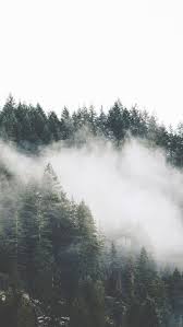 Fog Iphone Wallpapers Top Free Fog Iphone Backgrounds Wallpaperaccess Best high quality 4k ultra hd wallpapers collection for your phone.