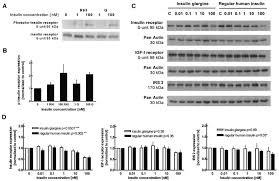 He knows that cultural differences can act as a barrier to communication, and that they could affect his ability to build connections and motivate people. Colo 357 Cells Were Grown For 48 H In Culture Medium And Then Incubated Download Scientific Diagram