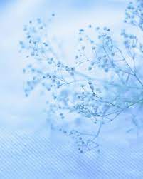 Touch device users can explore by touch or with swipe. Soft Blue Light Blue Aesthetic Blue Aesthetic Pastel Baby Blue Aesthetic