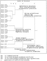 Image result for Anisopappus kirkii
