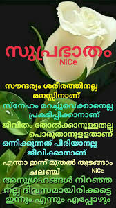 Pin By Eron On Good Morning Malayalam Good Morning Quotes Love Good Morning Quotes Love And Romance Quotes