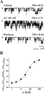 Engineered with 99.4% tracking accuracy and up to 16,000 dpi, the razer 5g optical sensor offers deadly precision. B1 Kcnmb1 Subunits Mediate Lithocholate Activation Of Large Conductance Ca2 Activated K Channels And Dilation In Small Resistance Size Arteries Molecular Pharmacology