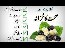 Shahtoot Fruit Ke Fayde Health Benefits Of Mulberry Fruit In Urdu In Mulberry Fruit Health Benefits Mulberry