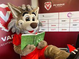 Wallpapers tagged with this tag. Wettbewerb Fur Alle Kleinen Fussballfans Fc Vaduz