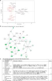 Human Huntingtons Disease Ipsc Derived Cortical Neurons