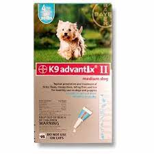 pin on flea and tick control