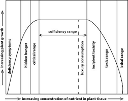 Plant Nutrient Interactions Hydroponics