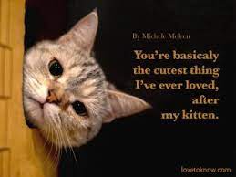 Before you marry a person, you should first make them use a computer with slow. 34 Funny Love Quotes For Him Lovetoknow