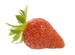 Phototheque Prince De Bretagne Producteur De Legumes Frais Leader Europeen De Fruits Et Legumes Fruits Et Legumes Legumes Frais Fruits