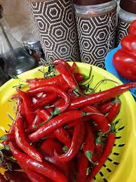 فلفل شطة Red Chili Pepper Stuffed Peppers Red Chili Peppers Green Beans
