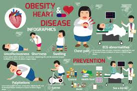 Pin On Obesity