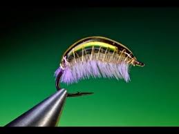Tying A Jelly Bean Scud With Barry Ord Clarke Youtube Fly Fishing Flies Pattern Fly Tying Fly Fishing Flies Trout