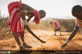 Image result for pics of africa