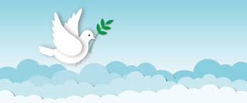 Dove Carrying Olive Branch Stock Photos ...
