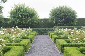 The very first of the modern rose types is considered to be 'la france' which was bred in 1867. Landscaping 10 Rose Garden Design Ideas Gardenista