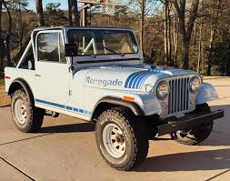 Image result for Alpine White 1978 AMC