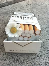 Resultado de imagen para buscando alaska LIBRO PERSONAJES