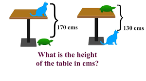 Find The Height Of Table With Cat And Tortoise Maths Puzzles In The Heights Puzzle Solving