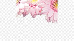 Find the perfect light pink flowers stock photos and editorial news pictures from getty images. Pink Flowers Background