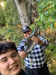 Steelhead and salmon fish