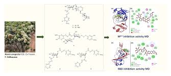 Image result for Nuxia congesta
