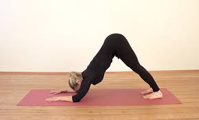 Is also another good prep pose. 7 Yoga Poses To Prepare For Headstand Doyou