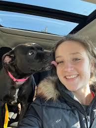 Fosters of the Humane Society of Cambria County