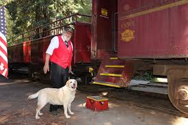 When your dog comes to us for our board & train, it's a complete immersion dog. Zvjorkqub3jmym