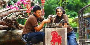 Dari pulau yang banyak itu, ada tiga pulau utama di nusa tenggara timur ternyata, selain keindahan alam yang memesona, ada satu hal yang biasa kita dengar tentang ntt. Lirik Dan Chord Anak Kambing Saya Lagu Anak Anak Populer