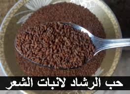 بينى فتس موقع فوائد الغذاء للصحة حب الرشاد لانبات الشعر Hair