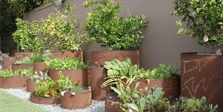 Wondering how to plant asparagus? Vegetable Garden Design Ideas Landscaping Network