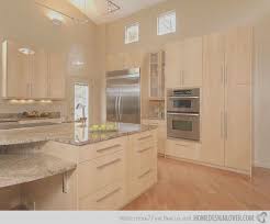 15 Contemporary Wooden Kitchen Cabinets Decoration For House In 2020 Maple Kitchen Cabinets Birch Kitchen Cabinets Maple Kitchen