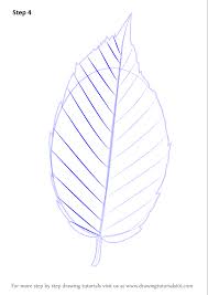Add some smaller veins going out from the large ones. Learn How To Draw A Leaf Plants Step By Step Drawing Tutorials
