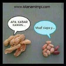 We did not find results for: Inilah Yang Disebut Kacang Lupa Kulitnya Sms Lucu Teks Lucu Ungkapan Lucu