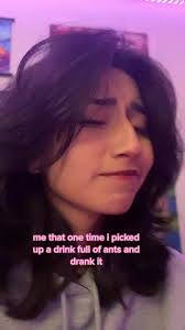 Ant Drinking Colored Water