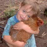 Inquadrare il corretto rapporto fra esseri umani e animali è vitale per  migliaia di operatori e milioni di famiglie