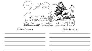 6th Grade Biotic And Abiotic Factors Worksheet Biotic And Abiotic Factors Worksheets Abiotic Biotic Cause And Effect Worksheets