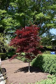Pin On Landscaping Ideas