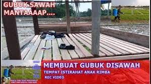 Untuk proses pembuatan dan hasil yang efektif dalam pembuatan pupuk kompos perbandingan penggunaan antara sampah coklat dengan sampah. Membuat Gubuk Sawah Tempat Istirahat Di Sawah Perlukah Youtube