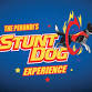 Stunt Dog Experience