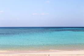 Image result for 沖縄の海