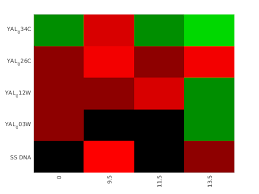 Image result for bioinformatics heatmap