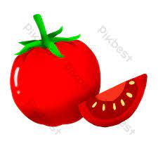 Hanya perlu disiram setiap hari dua atau tiga kali dan dibaja dua minggu. Lukisan Hiasan Tomato Alam Memupuk Tomato Elemen Grafik Psd Percuma Muat Turun Pikbest
