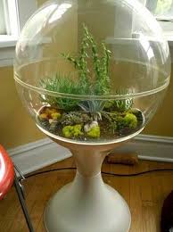 Large Terrarium Globe Fifties Google Search Large Terrarium Vintage Planters Terrarium