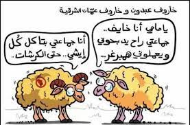 داعية اسلامي يوضح شروط اختيار أضحية عيد الأضحى المبارك. Ø£Ø¶Ø­ÙŠØ© Ø¹ÙŠØ¯ Ø§Ù„Ø£Ø¶Ø­Ù‰ Ø§Ù„Ù…Ø¨Ø§Ø±Ùƒ